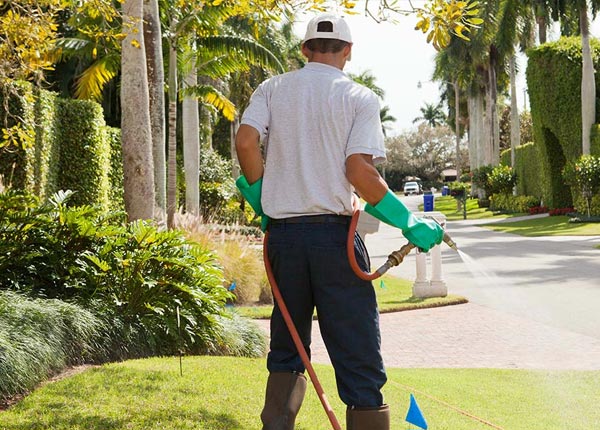 About Sackets Harbor NY Pest Control